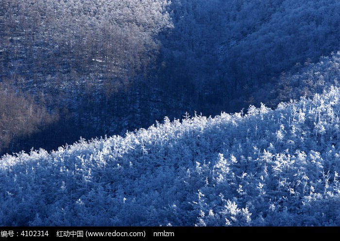 ɭ����ڡͼƬ