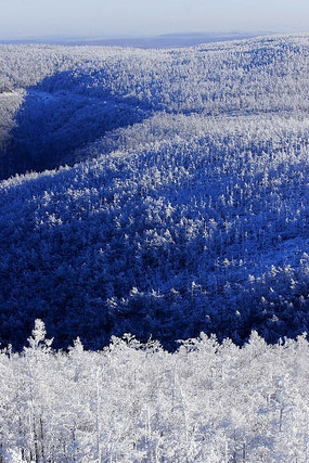 ɽ������