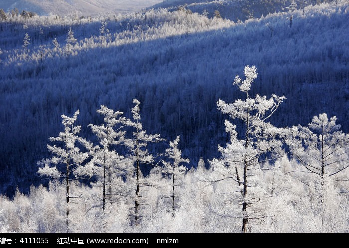 ɽ����ڡͼƬ