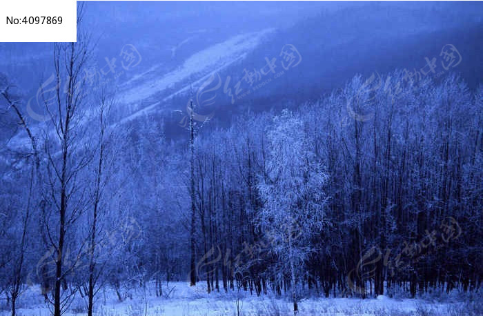 ɽ��ѩ��ͼƬ