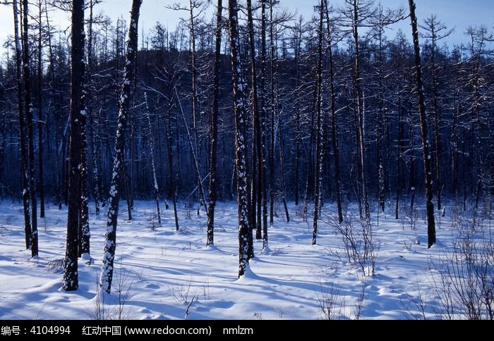 ���ּ��ֺ�ѩԭͼƬ