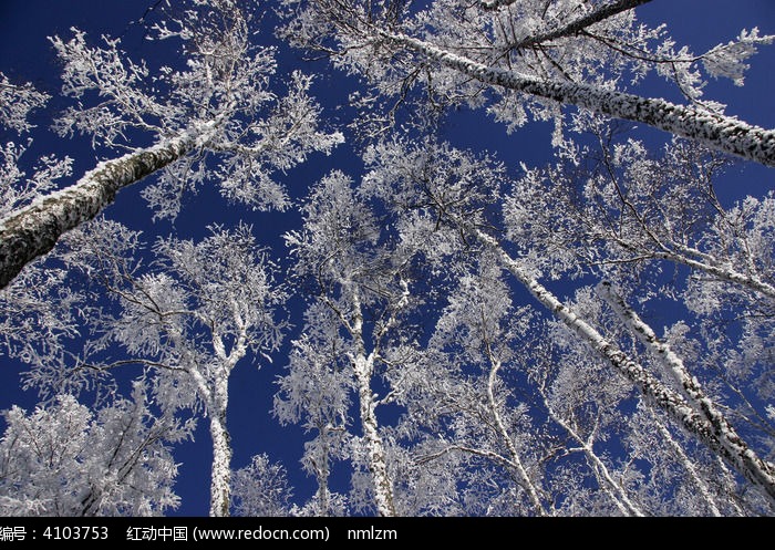 ѩ��֮��ͼƬ