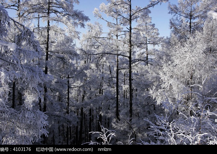 ѩ������ͼƬ