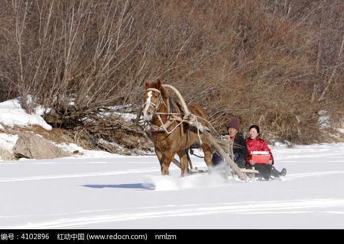 雪原馬爬犁高清圖片下載_紅動中國