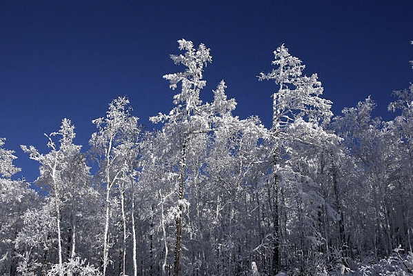 �Ϻ�����