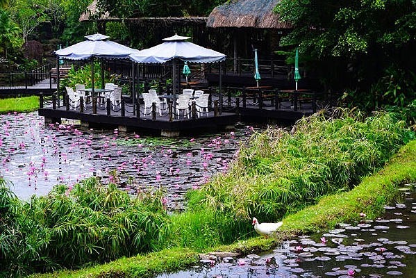 ѽŵ�������Ļ�������