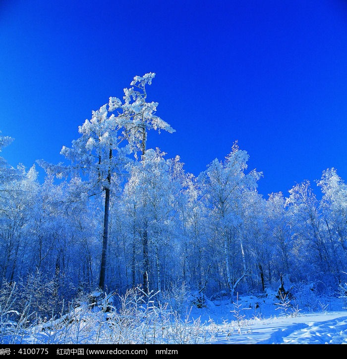 ��װ�ع�ͼƬ