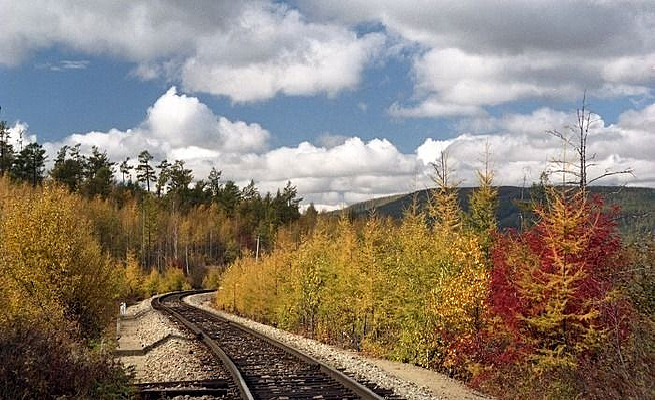 ����ɭ��ɽ