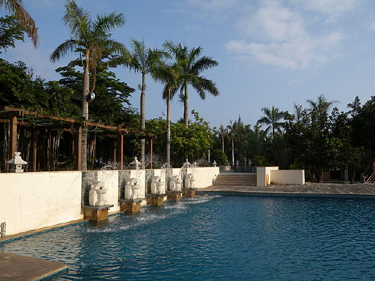 ���ߵ���Ӿ��