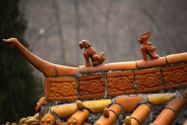 �����Ž�������