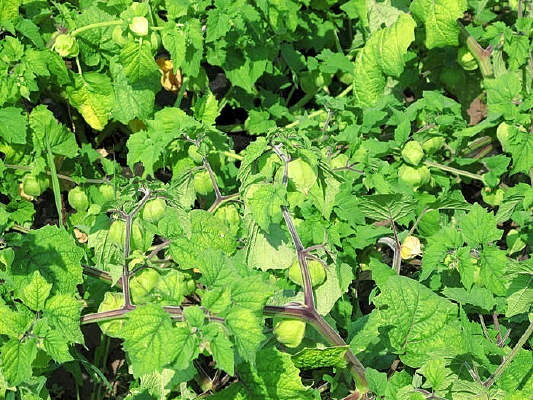 ˮ������