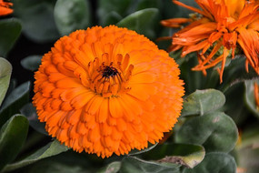 ̫���������