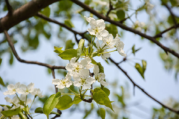 �����µ��滨