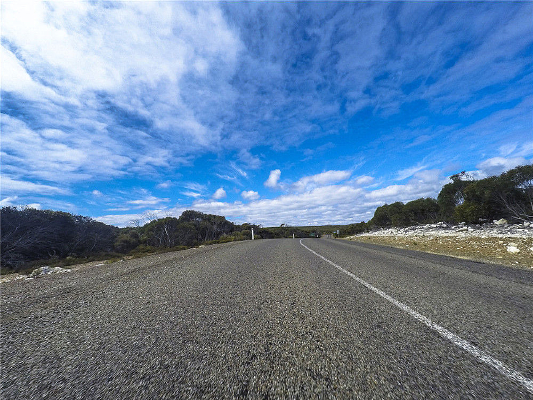 ������Ȼ���