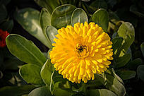 ����İ��վ�