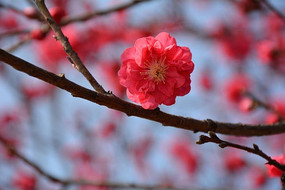 �����һ�