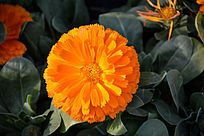 ������վ�