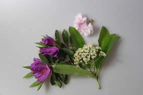 ���ֻ���