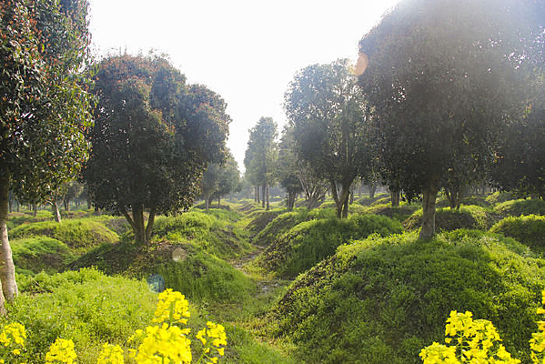 �������