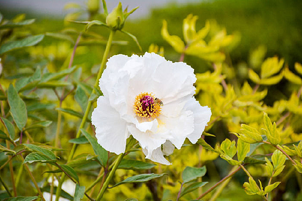 �����ͻ���