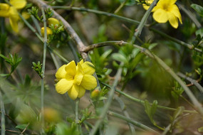 ӭ��������