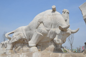 ��ţ����