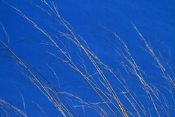 ����é��