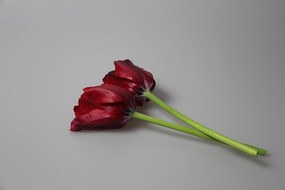 ����������