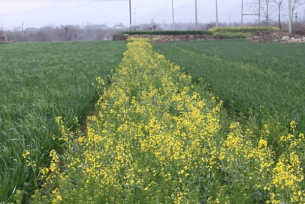 �Ͳ˻�������