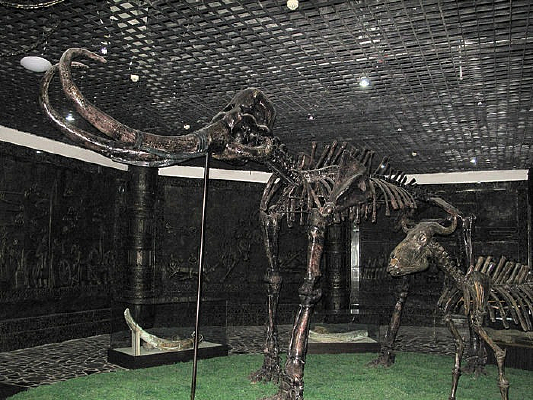 ������ʯ