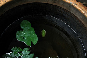 ����˯��