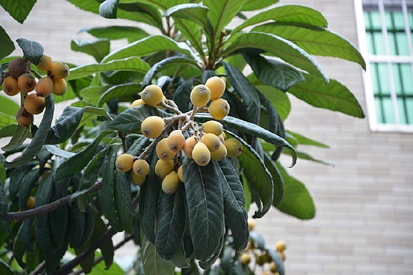 ˮ������