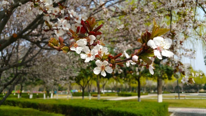 �һ�����