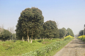 ��·������