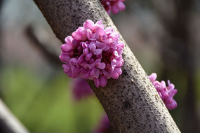 �����µ��Ͼ�