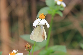 Ұ���ͺ���