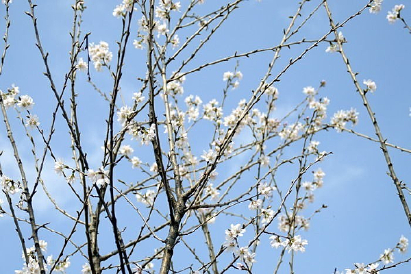 ӣ��ӣ����