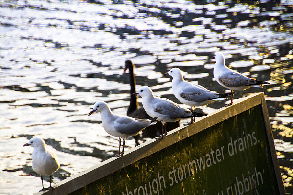 ������Ϣˮ��