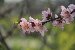 �����һ�