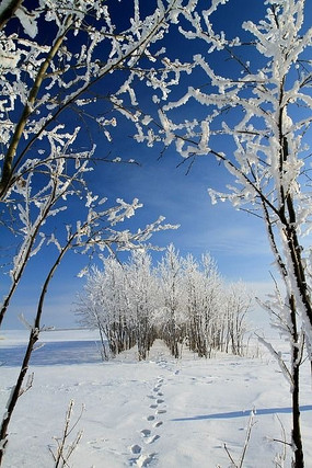 Ұ���ԭ���