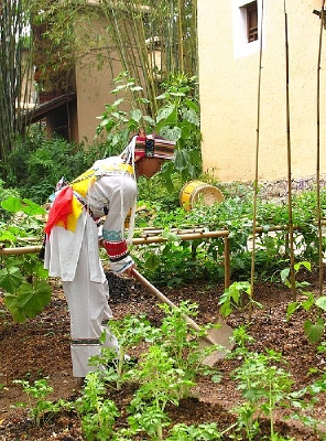 �л�����԰���徰��