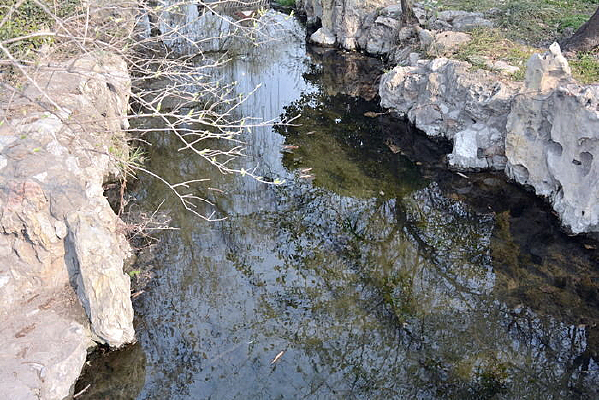 ������һ��