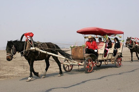 ������ɶ���˹��