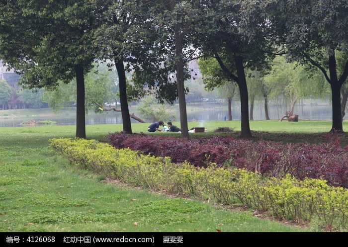 ��ͥ����Ұ��ͼƬ