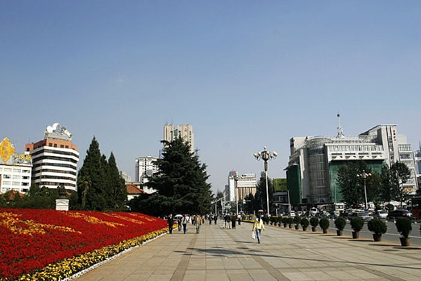 �����ֵ�