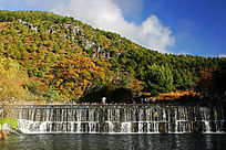 �����ٲ�