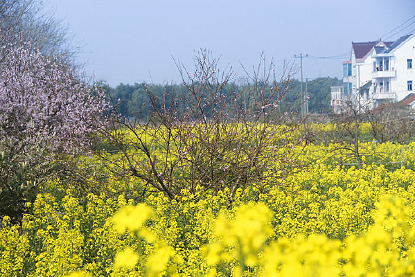 ��������Ͳ˻�