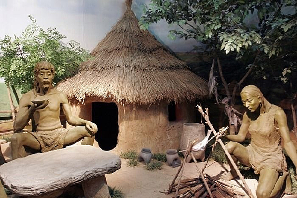 ���ɹ�����