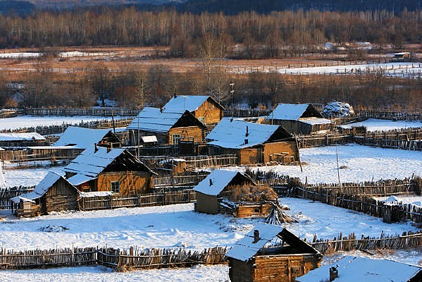 ��ѩ�е�����