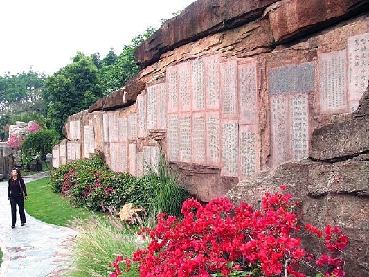 ���ڽ����л�